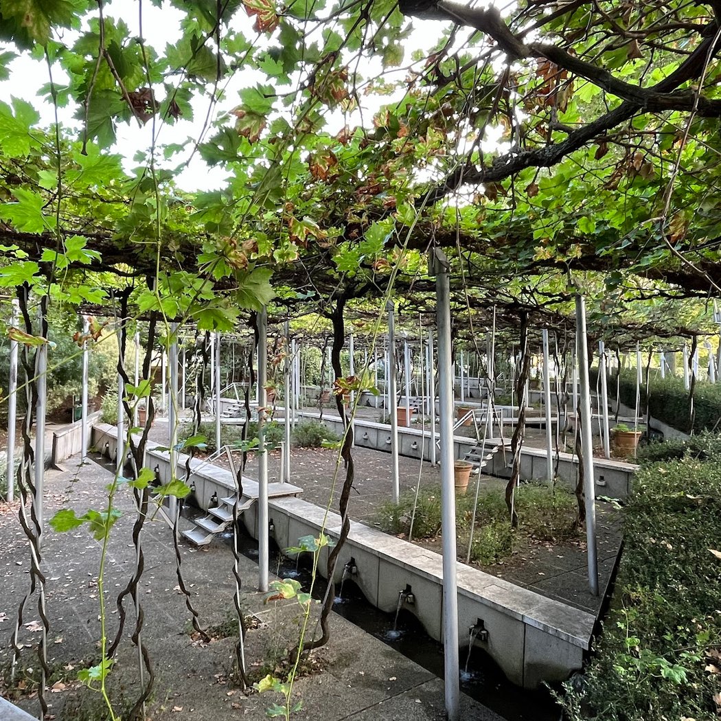 Treille Garden 1